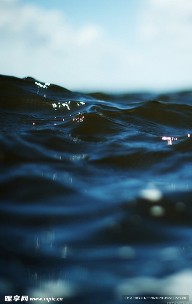 海