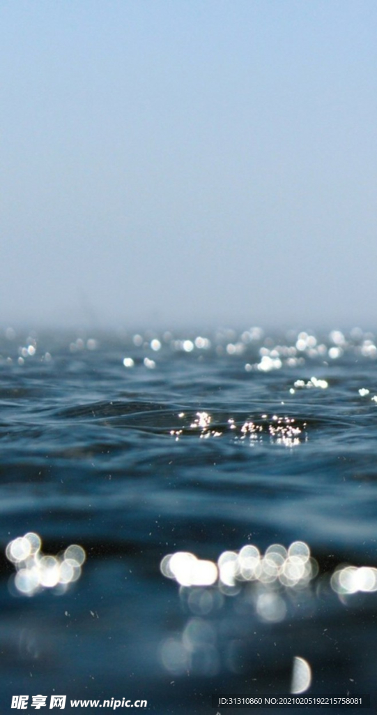 海