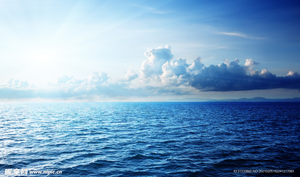 海
