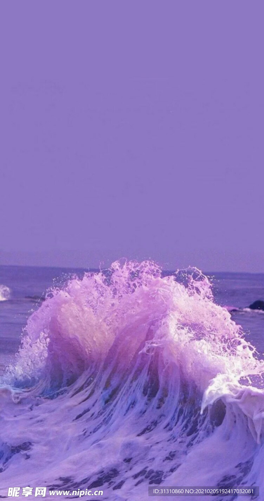 海