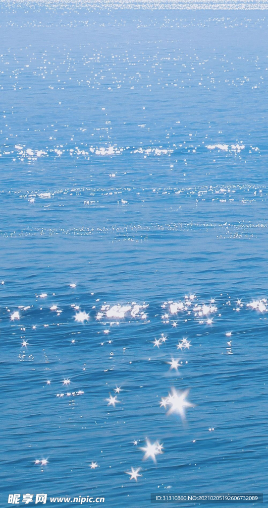 海