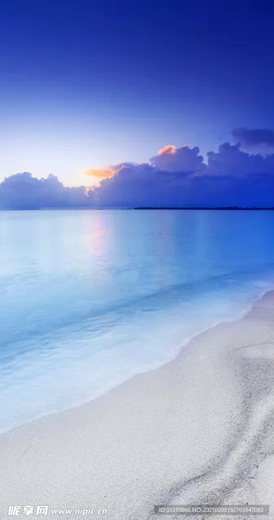 海
