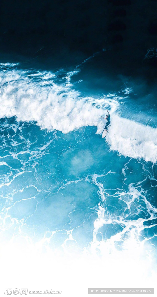 海