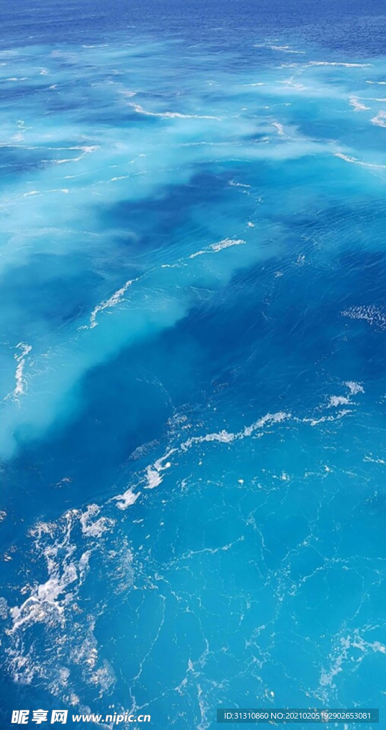 海