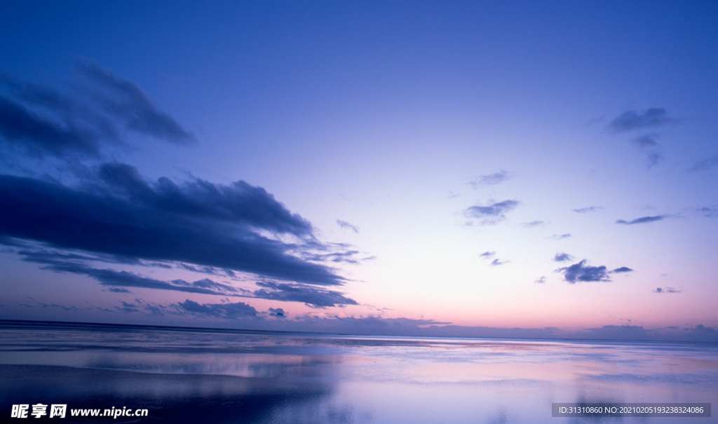 海