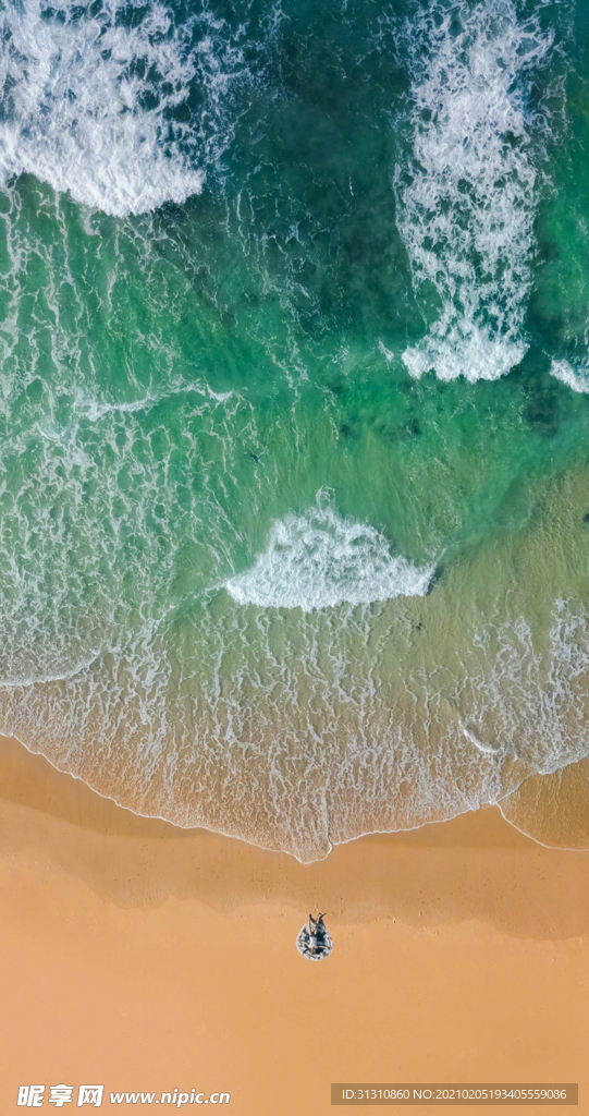 海