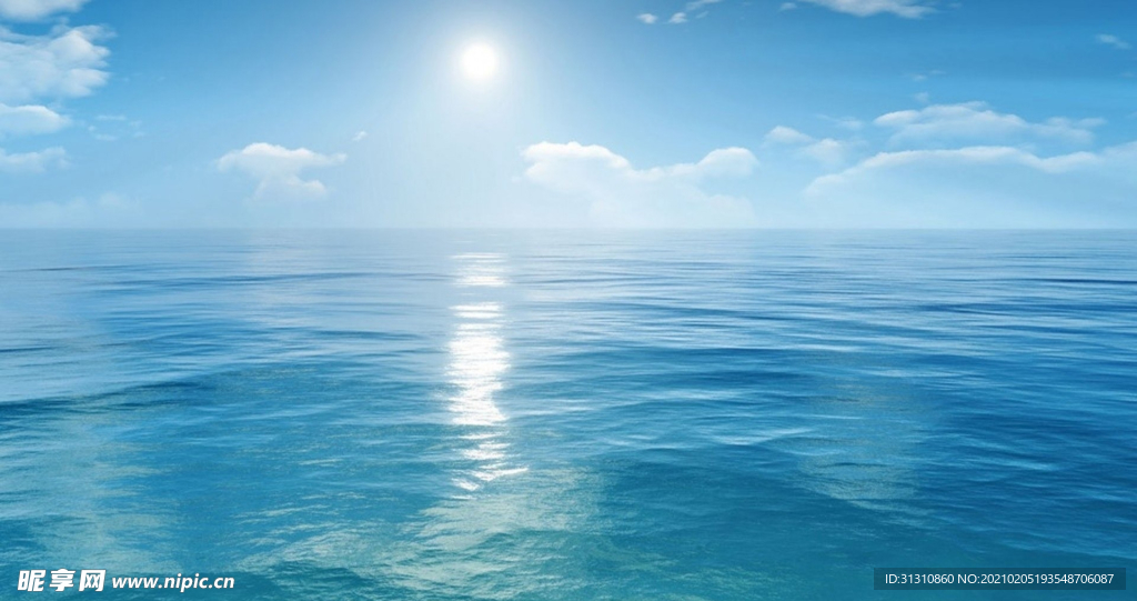 海