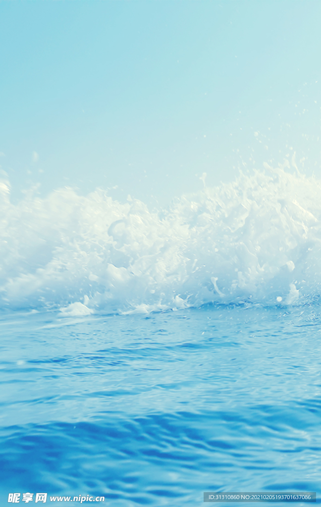 海