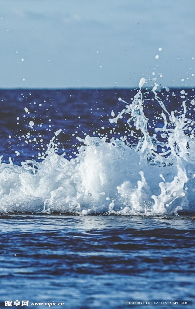 海