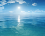 海