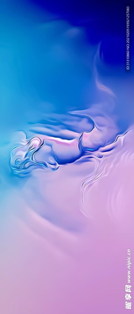 海