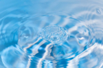海