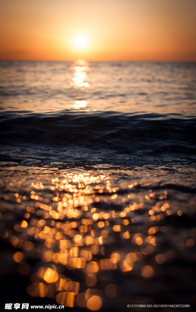 海