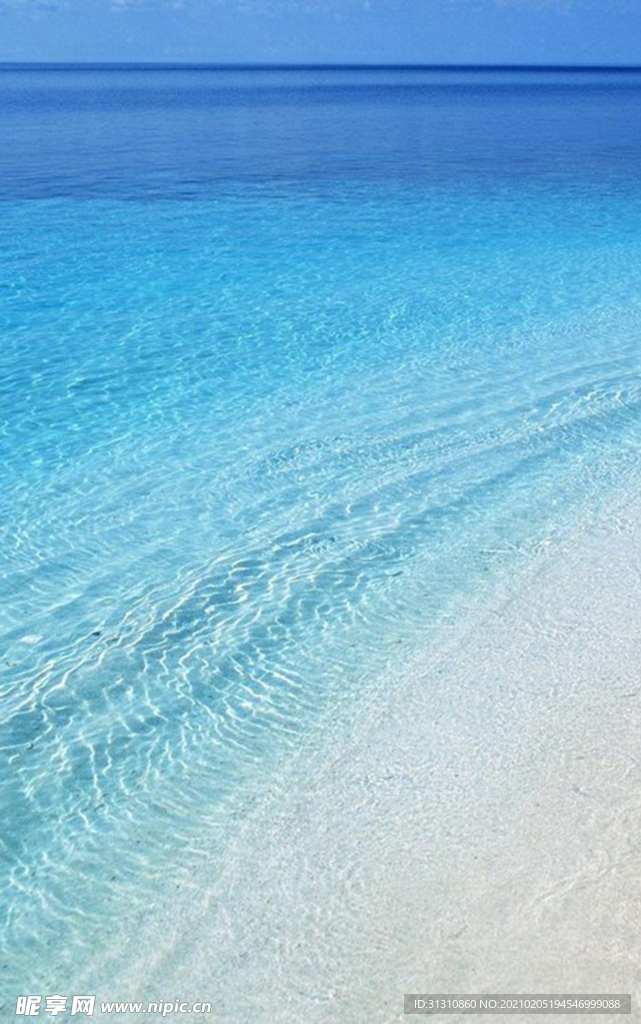 海