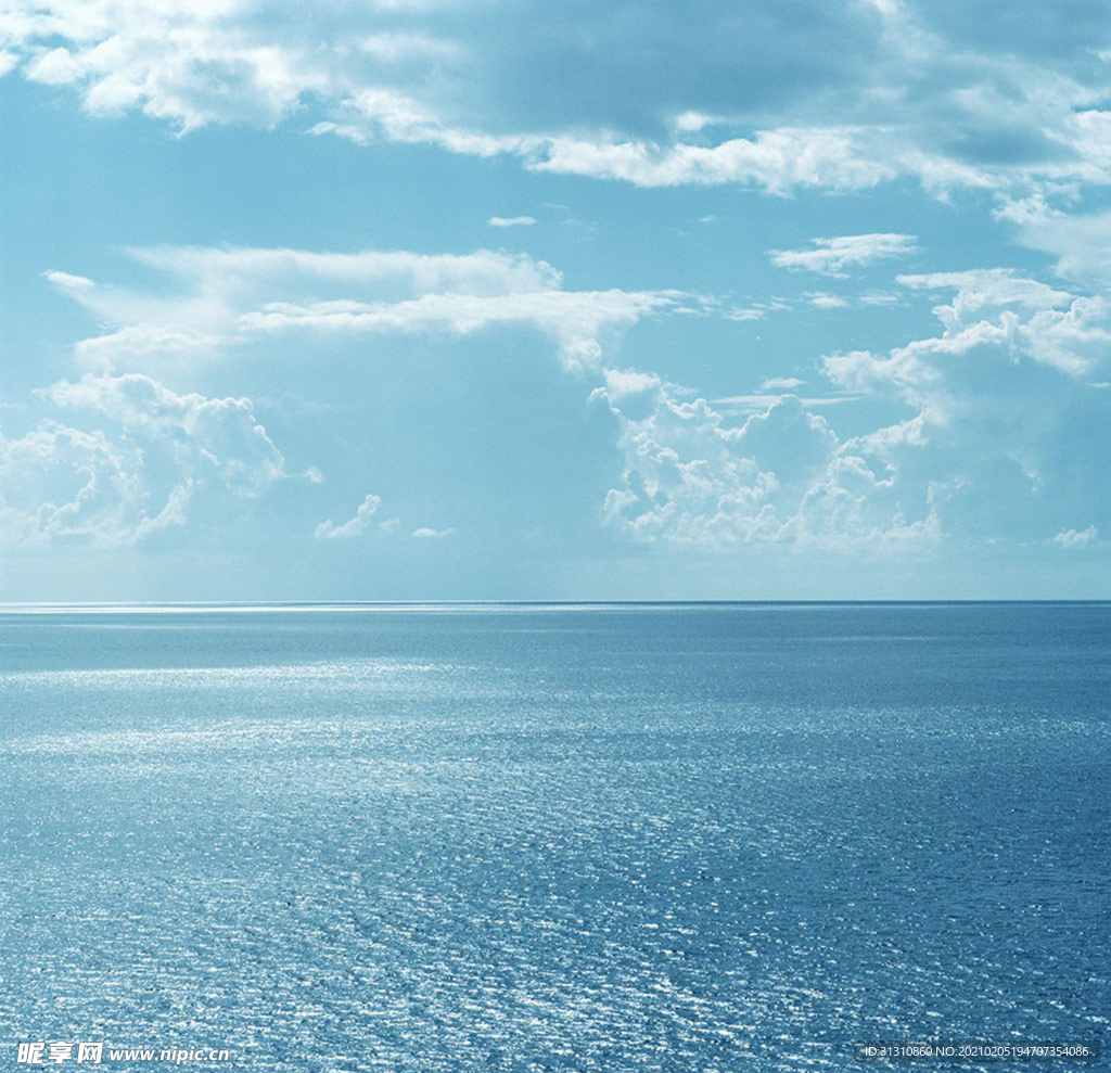 海