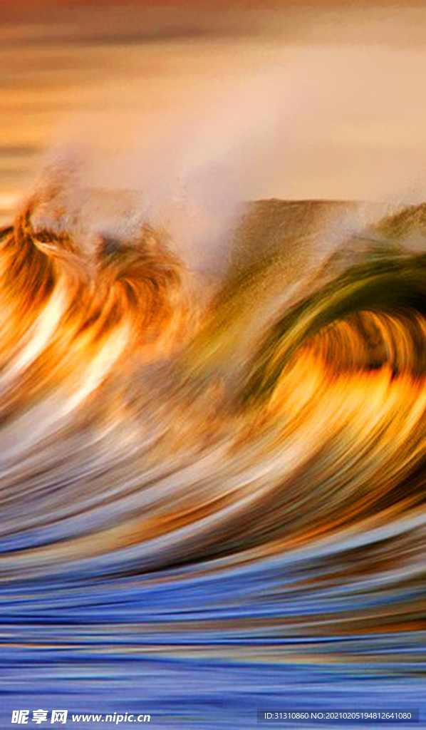 海