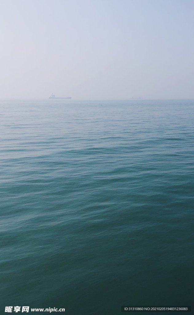 海