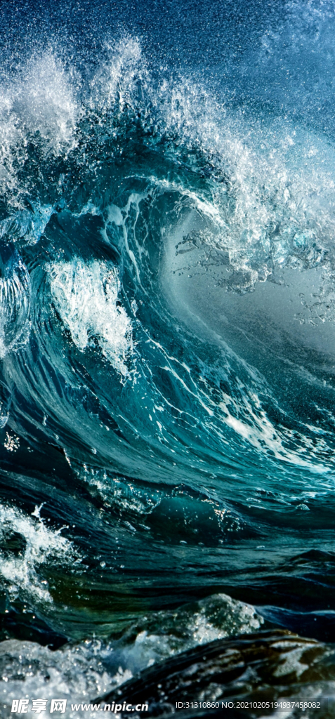 海