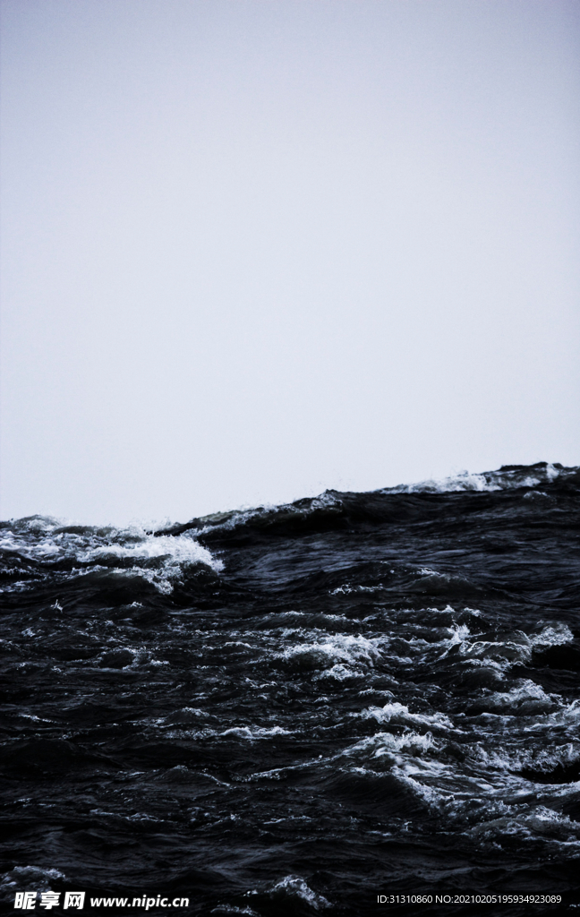 海