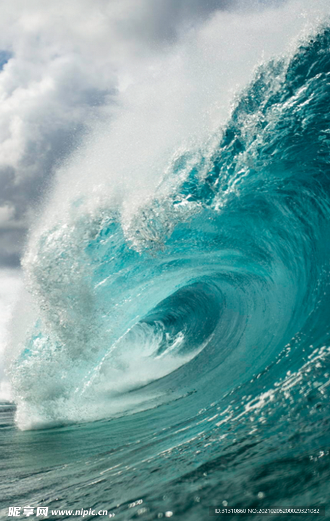 海
