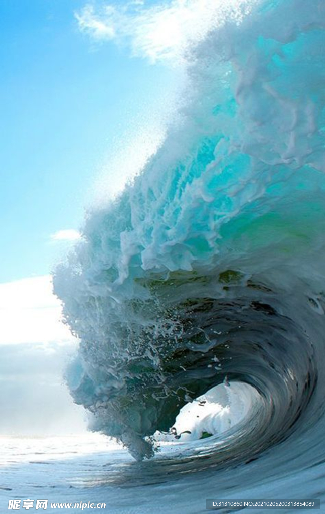 海