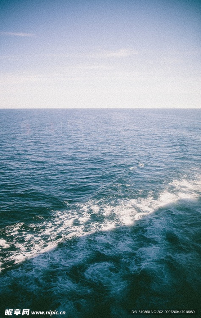 海
