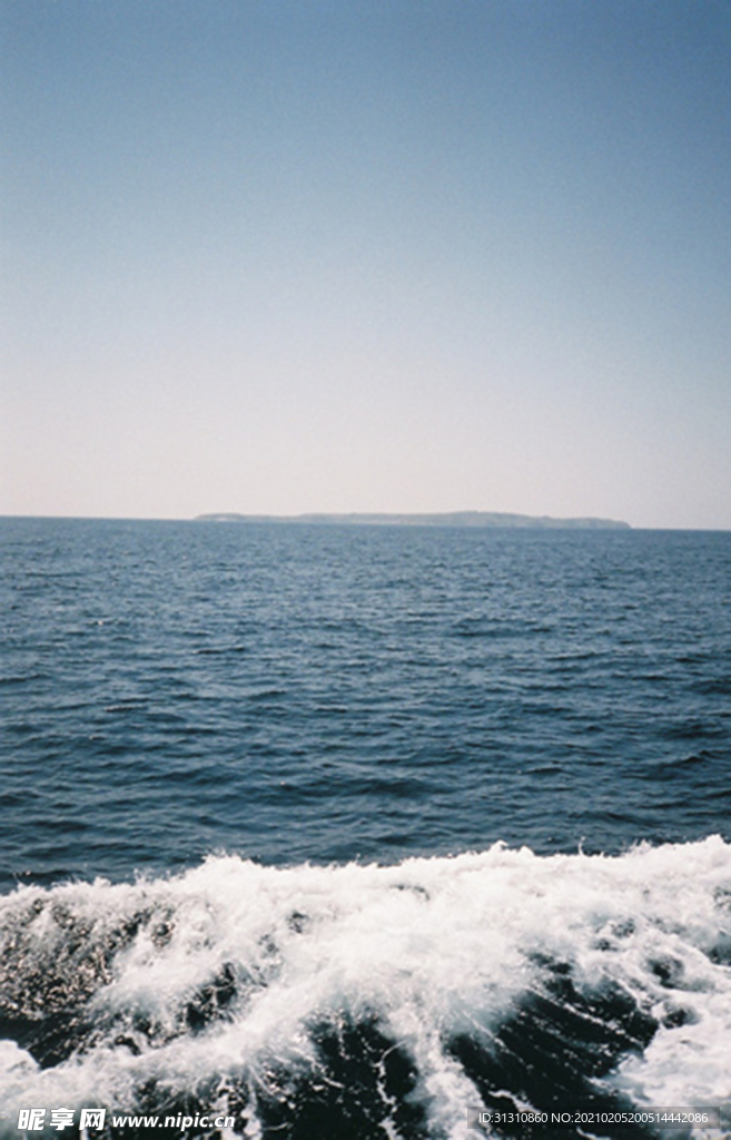 海