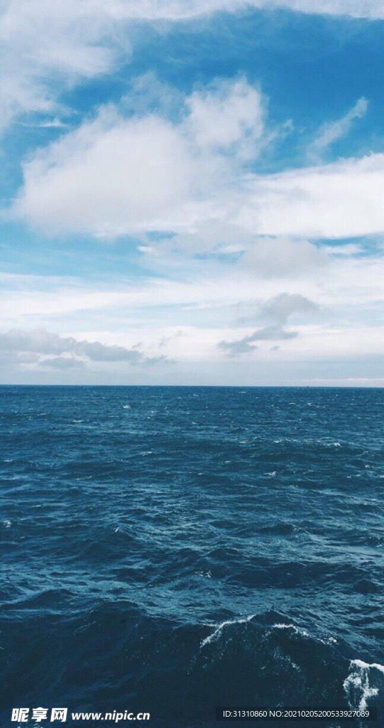 海