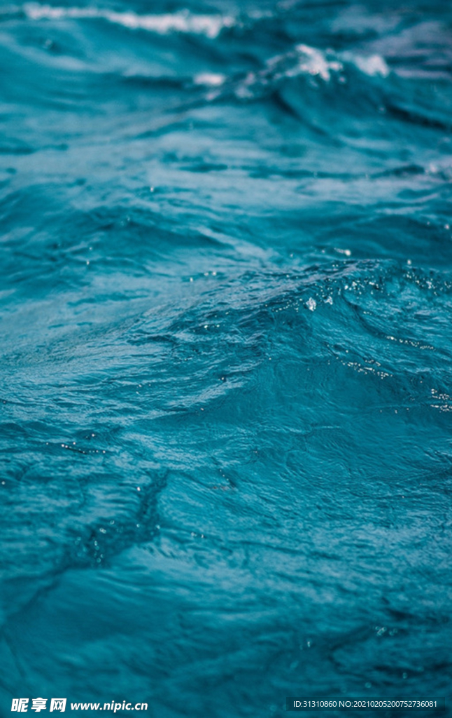 海