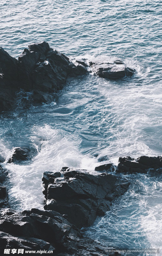 海