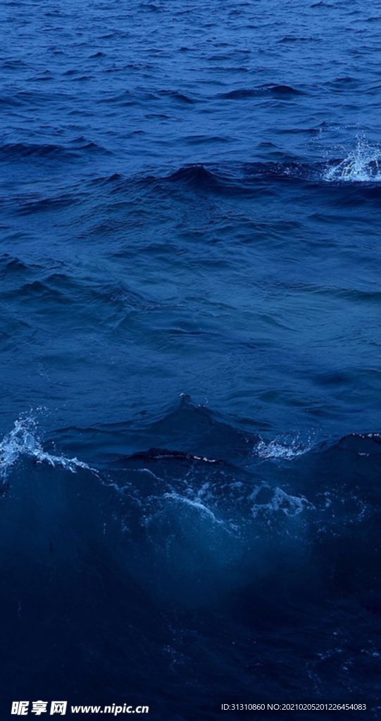 海