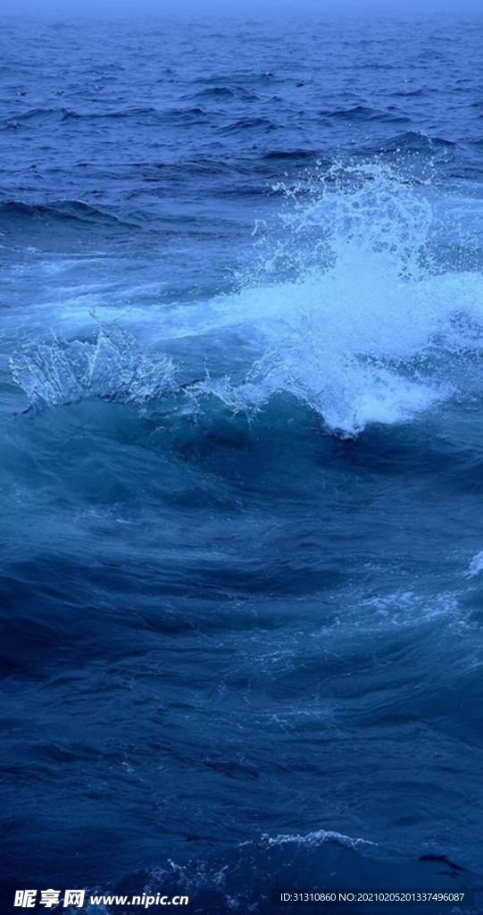 海