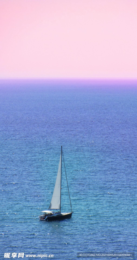 海