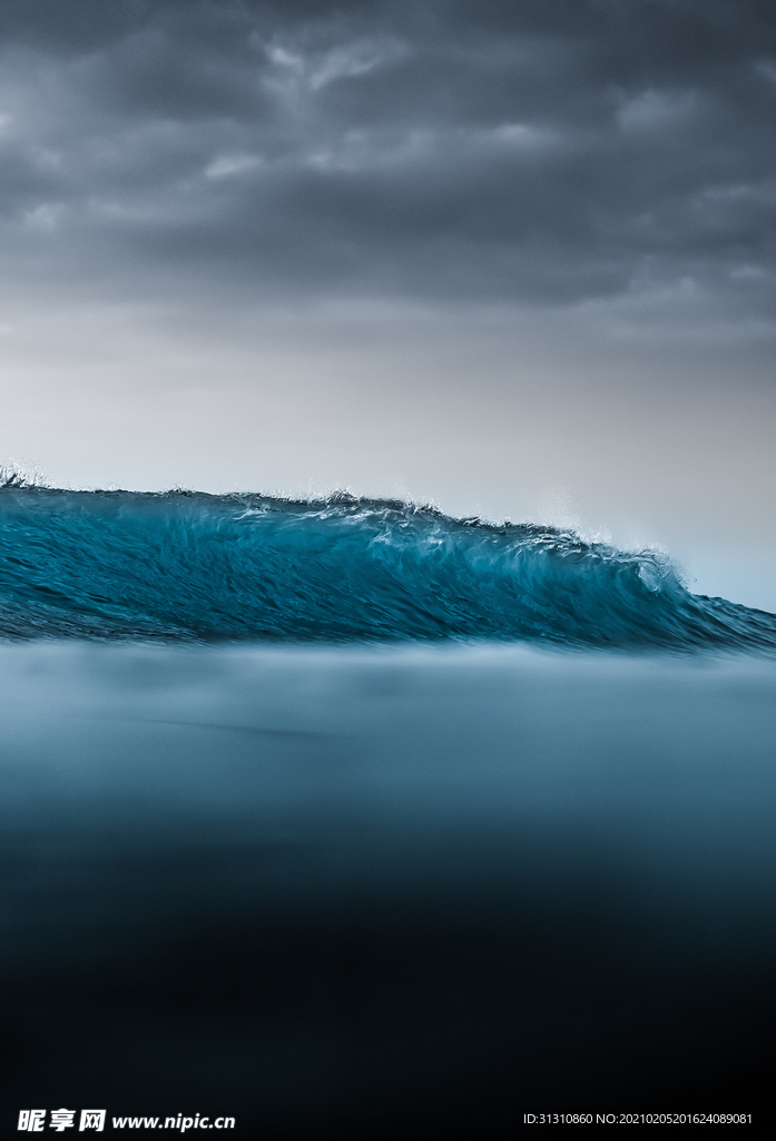 海