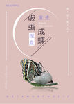 破茧成蝶