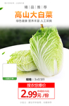高山大白菜推广图