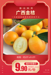 广西金桔推广图