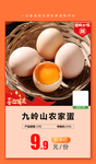 加档秒杀 九岭山农家蛋