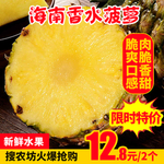 海南香水菠萝推广图
