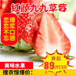 红颜九九草莓推广图