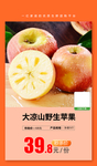 大凉山野生苹果推广图