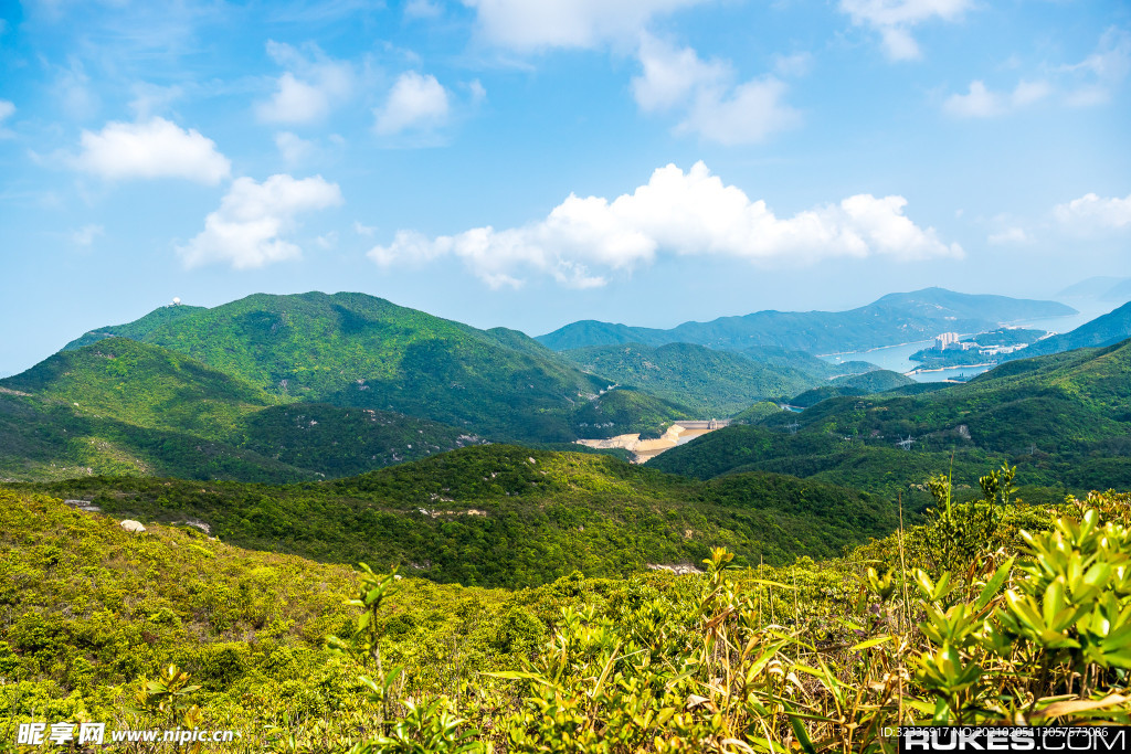 山
