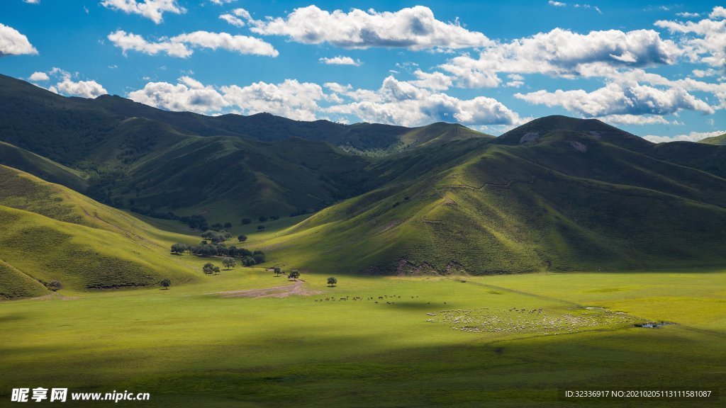 山