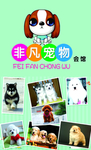 宠物