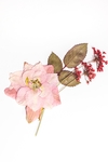 花卉
