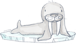 海狮