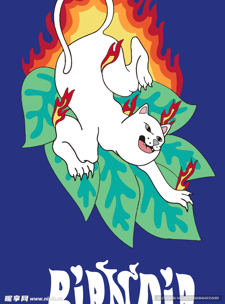 猫