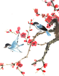 鸟
