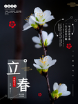 立春