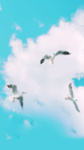 天空